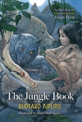 bokomslag The Jungle Book