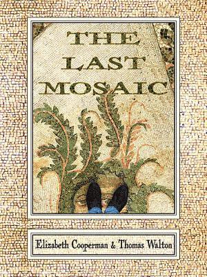 bokomslag The Last Mosaic