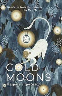 bokomslag Cold Moons