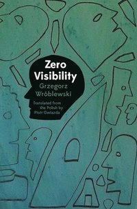 bokomslag Zero Visibility