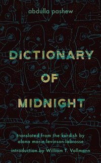 bokomslag Dictionary of Midnight