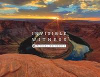 bokomslag Invisible Witness