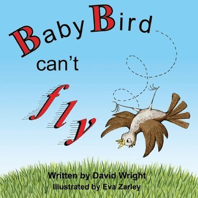 David Wright - Baby Bird Can't Fly, Häftad