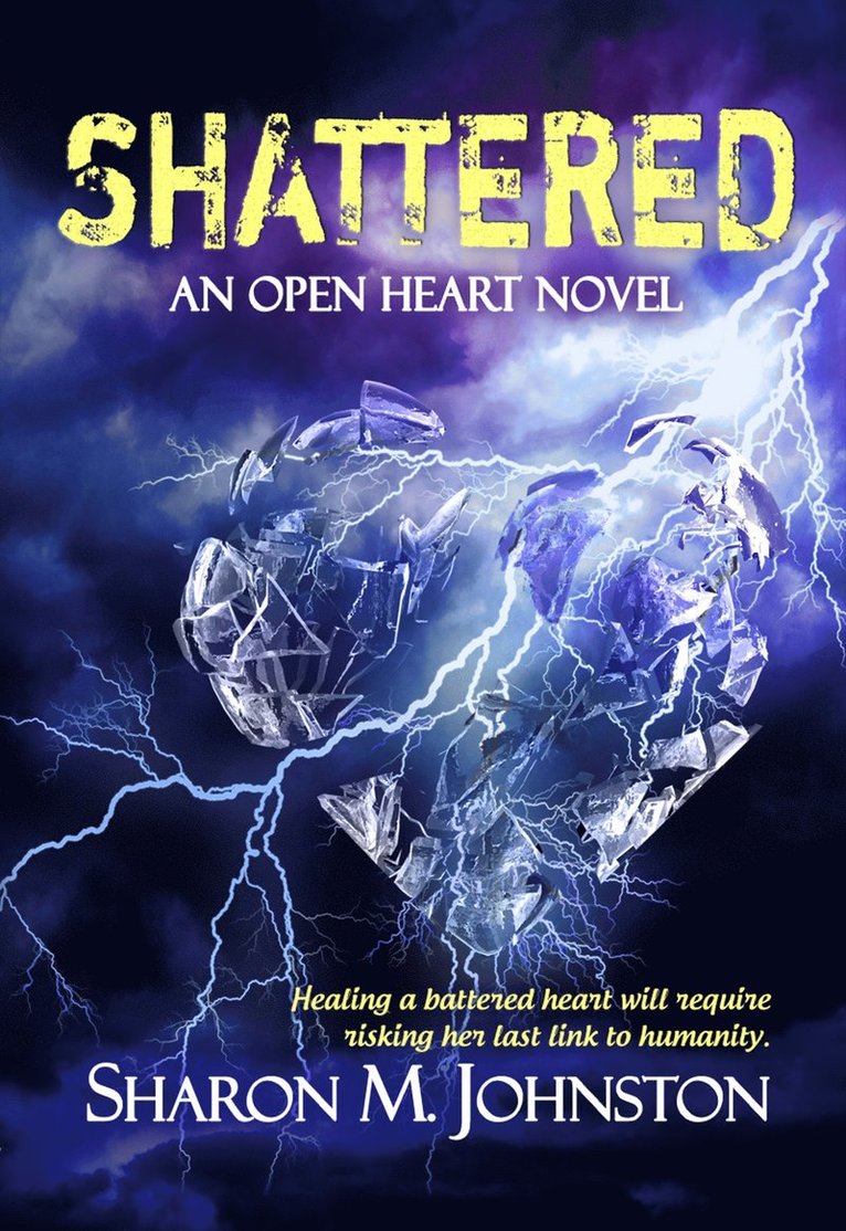Sharon M. Johnston, Sharon M Johnston - Shattered, Häftad