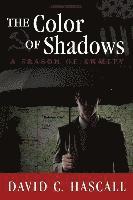 bokomslag The Color of Shadows: A Season of Enmity