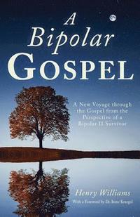 bokomslag A Bipolar Gospel: A New Voyage through the Gospel from the Perspective of a Bipolar II Survivor