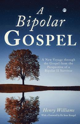 bokomslag A Bipolar Gospel: A New Voyage through the Gospel from the Perspective of a Bipolar II Survivor