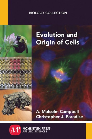 bokomslag Evolution and Origin of Cells