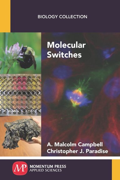 bokomslag Molecular Switches