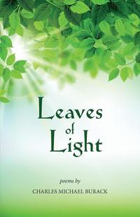 bokomslag Leaves of Light