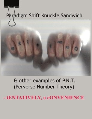 bokomslag Paradigm Shift Knuckle Sandwich