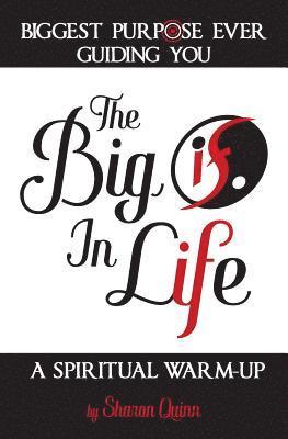 Sharon Quinn, Beth Hayse - Big IF in Life, Häftad