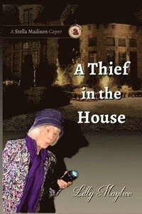 bokomslag A Thief In The House