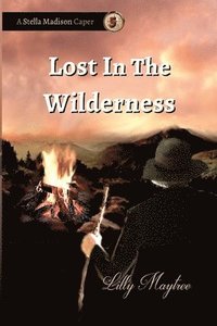 bokomslag Lost In The Wilderness