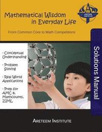 bokomslag Mathematical Wisdom in Everyday Life Solutions Manual: From Common Core to Math Competitions
