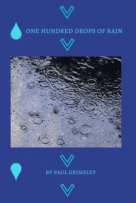 bokomslag one hundred drops of rain