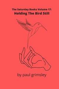 bokomslag Holding The Bird Still: The Saturday Books Volume 17