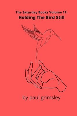 bokomslag Holding The Bird Still: The Saturday Books Volume 17
