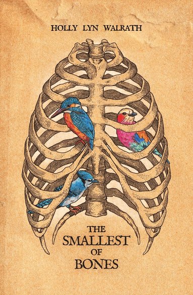 Holly Lyn Walrath - Smallest of Bones, Häftad