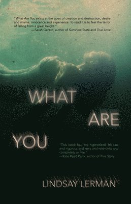 Lindsay Lerman - What Are You, Häftad