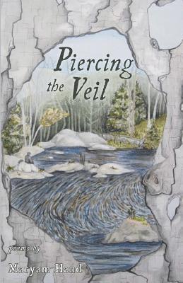 Piercing the Veil 1