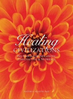 bokomslag Healing Civilizations