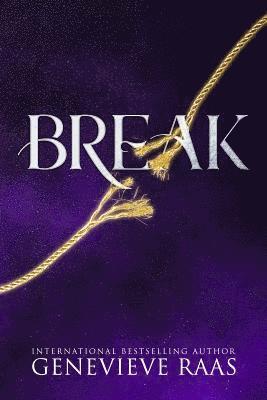 bokomslag Break