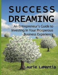 bokomslag Success Dreaming