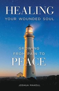 bokomslag Healing Your Wounded Soul