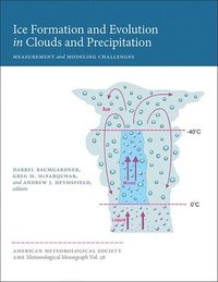 bokomslag Ice Formation and Evolution in Clouds and Precip  Measurement and Modeling Challenges Challenges