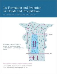 bokomslag Ice Formation and Evolution in Clouds and Precip - Measurement and Modeling Challenges Challenges