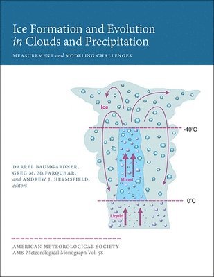 Darrel Baumgardner, Greg M. Mcfarquhar, Andrew J. Heymsfield, Andrew Heymsfield, Darrel Baumgardner, Greg M. McFarquhar - Ice Formation and Evolution in Clouds and Precip – Measurement and Modeling Challenges Challenges, Inbunden