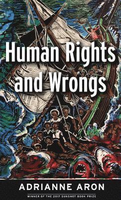 bokomslag Human Rights and Wrongs