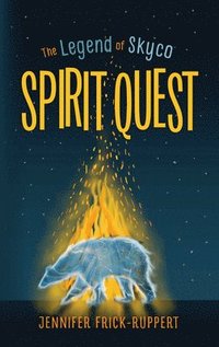 bokomslag Spirit Quest Volume 1