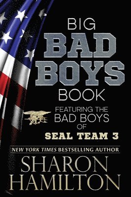 Sharon Hamilton - Big Bad Boys Book, Häftad