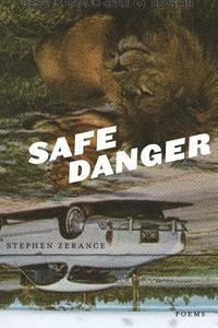 bokomslag Safe Danger