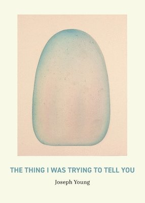 Joseph Young - Thing I Was Trying to Tell You, Häftad