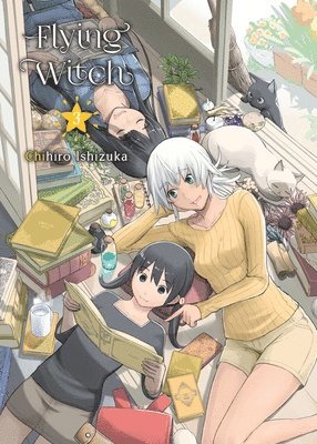 bokomslag Flying WItch 3