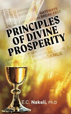 E C Nakeli, E. C. Nakeli - Principles of Divine Prosperity, Häftad