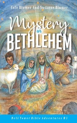 bokomslag Mystery In Bethlehem