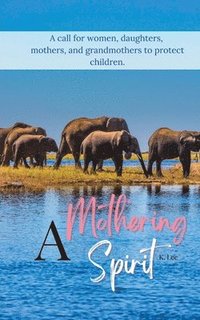 bokomslag Mothering Spirit