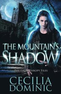 bokomslag The Mountain's Shadow