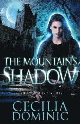 The Mountain's Shadow 1