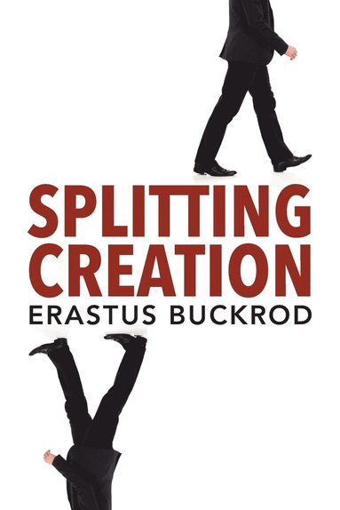 bokomslag Splitting Creation