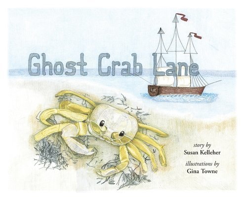 Ghost Crab Lane 1