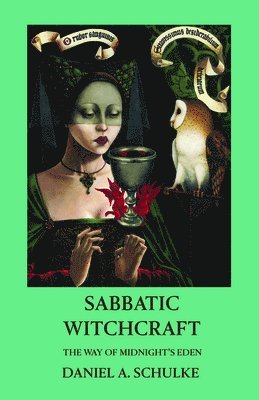 bokomslag Sabbatic Witchcraft