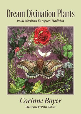 bokomslag Dream Divination Plants