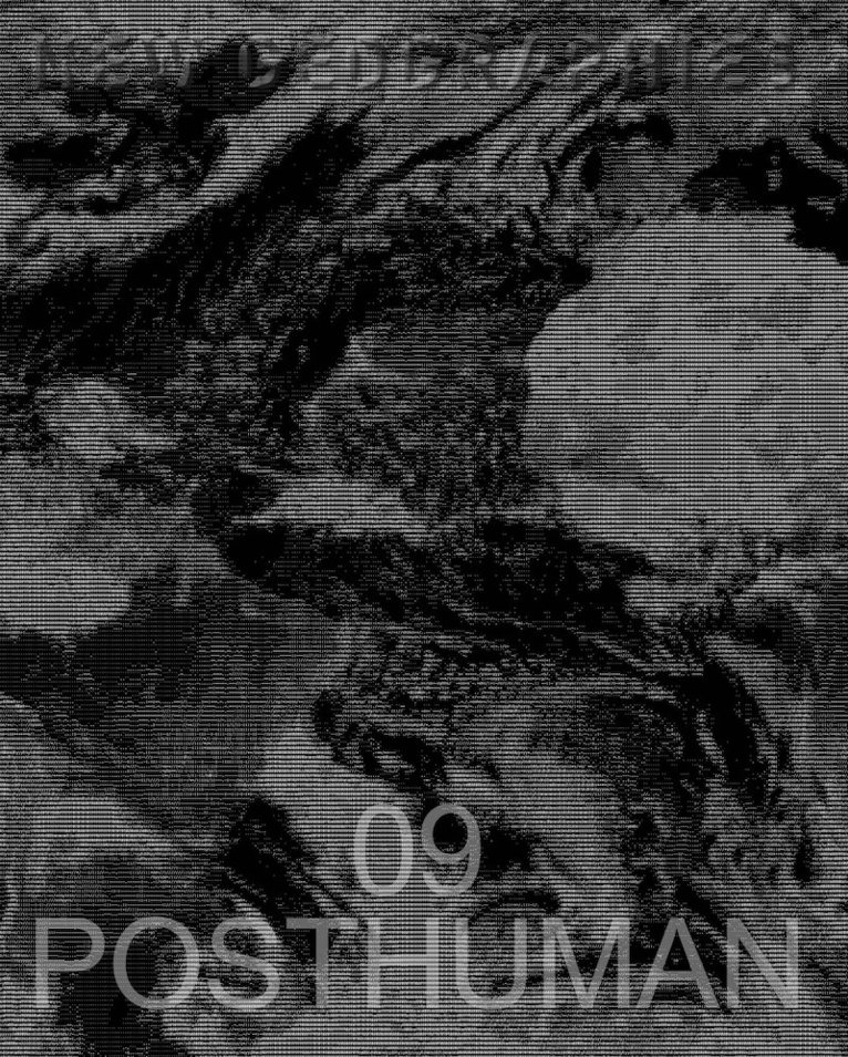 New Geographies 09