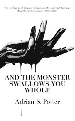 Adrian S Potter - And the Monster Swallows You Whole, Häftad