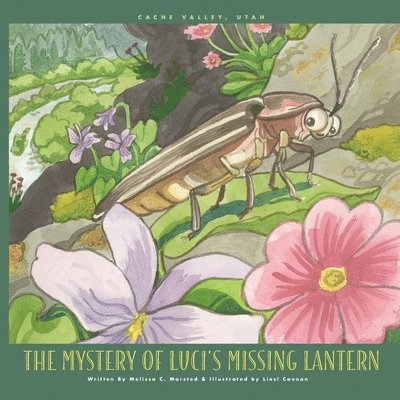 Melissa C. Marsted - The Mystery of Luci's Missing Lantern, Häftad